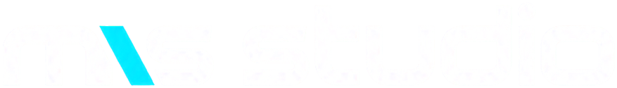 MS Studio